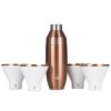 Stainless Steel Cocktail Shaker and Martini Glass Set, Gold and White