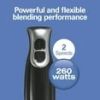 Hamilton Beach 2-Speed Stainless Steel Immersion Blender with Blending Wand and Whisk, Model 59742F